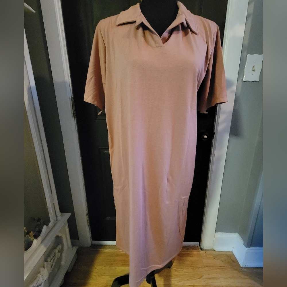 Zara Blush Pink Dress